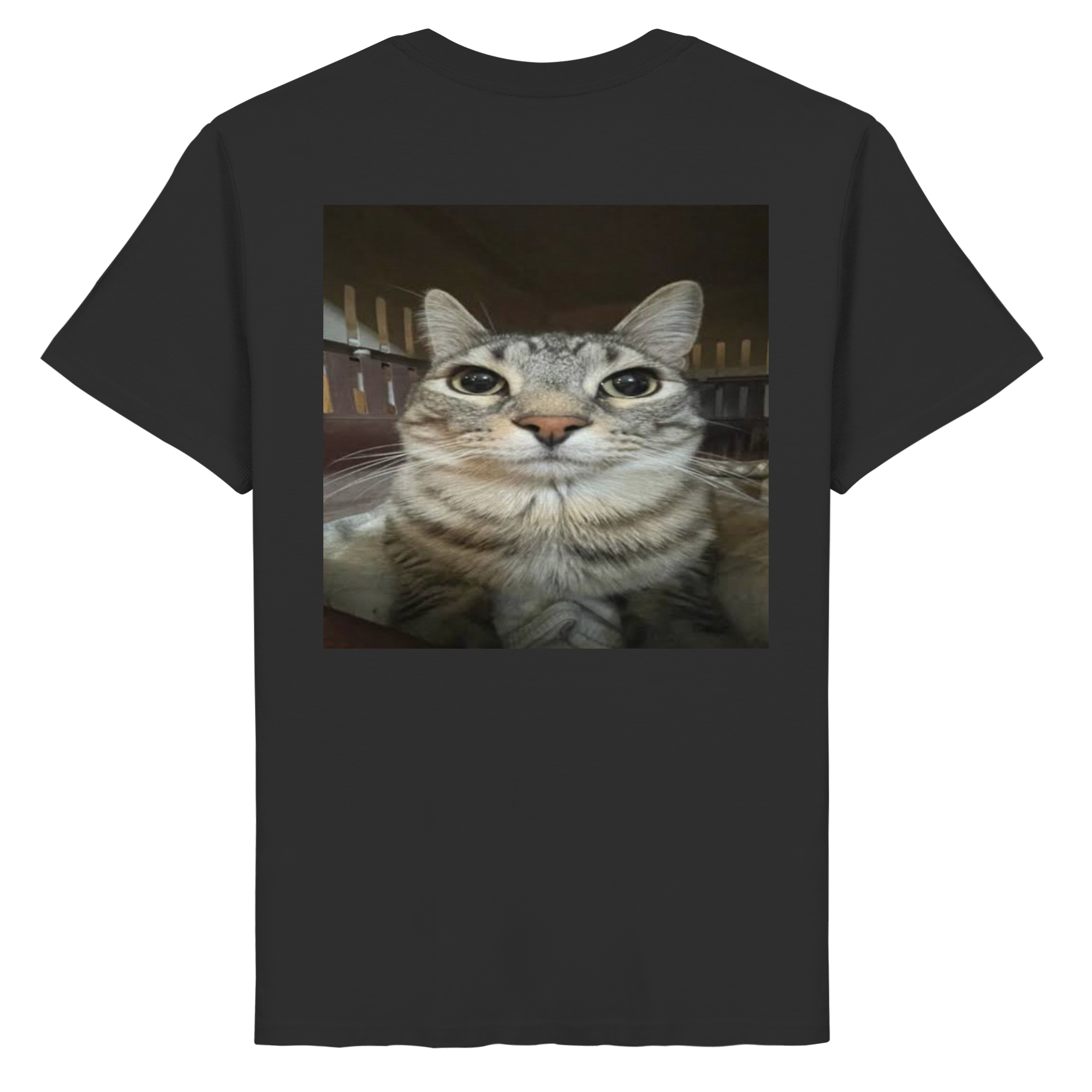 Staring cat meme  - Organic Basic Shirt