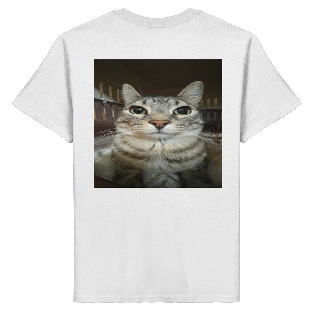 Staring cat meme  - Organic Basic Shirt