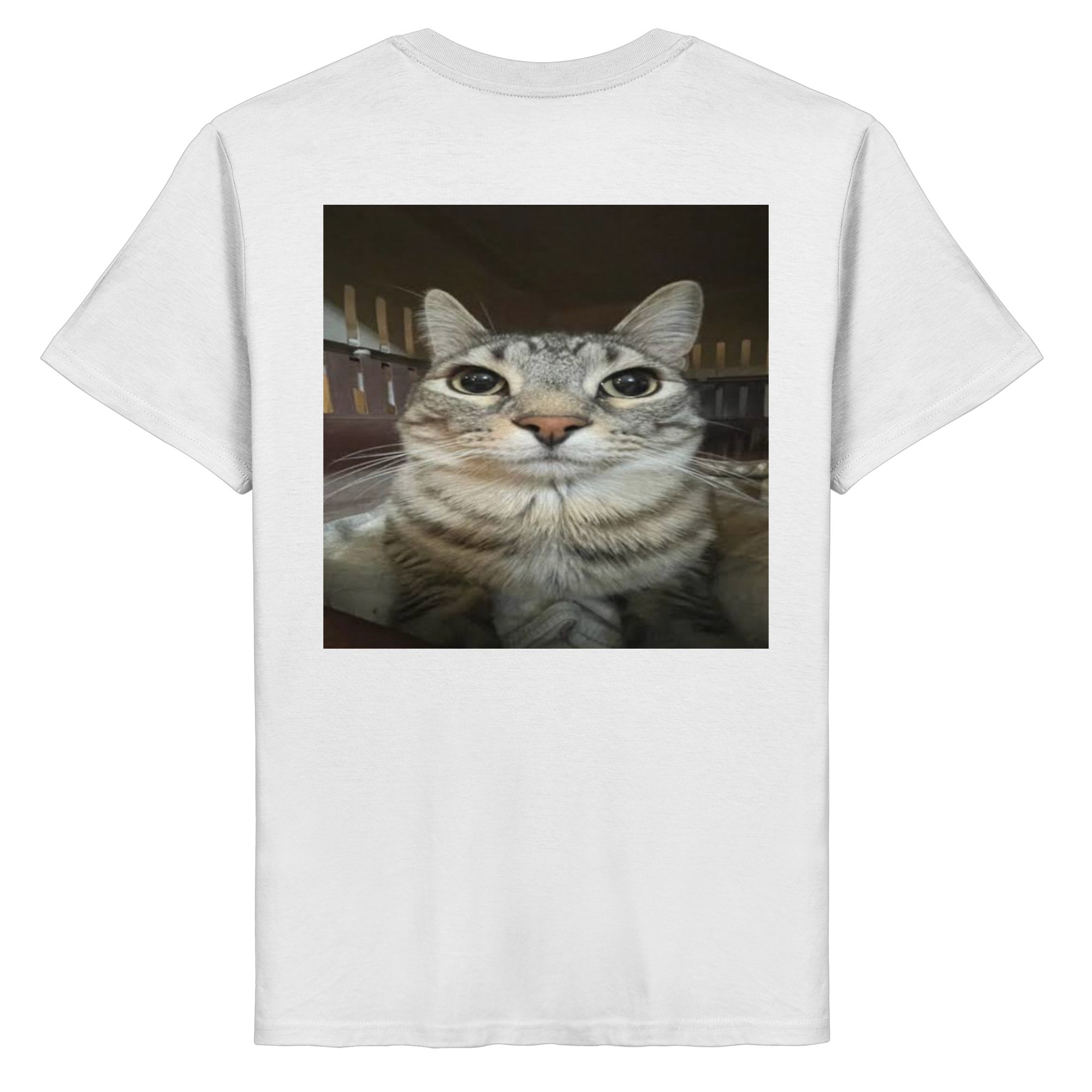 Staring cat meme  - Organic Basic Shirt