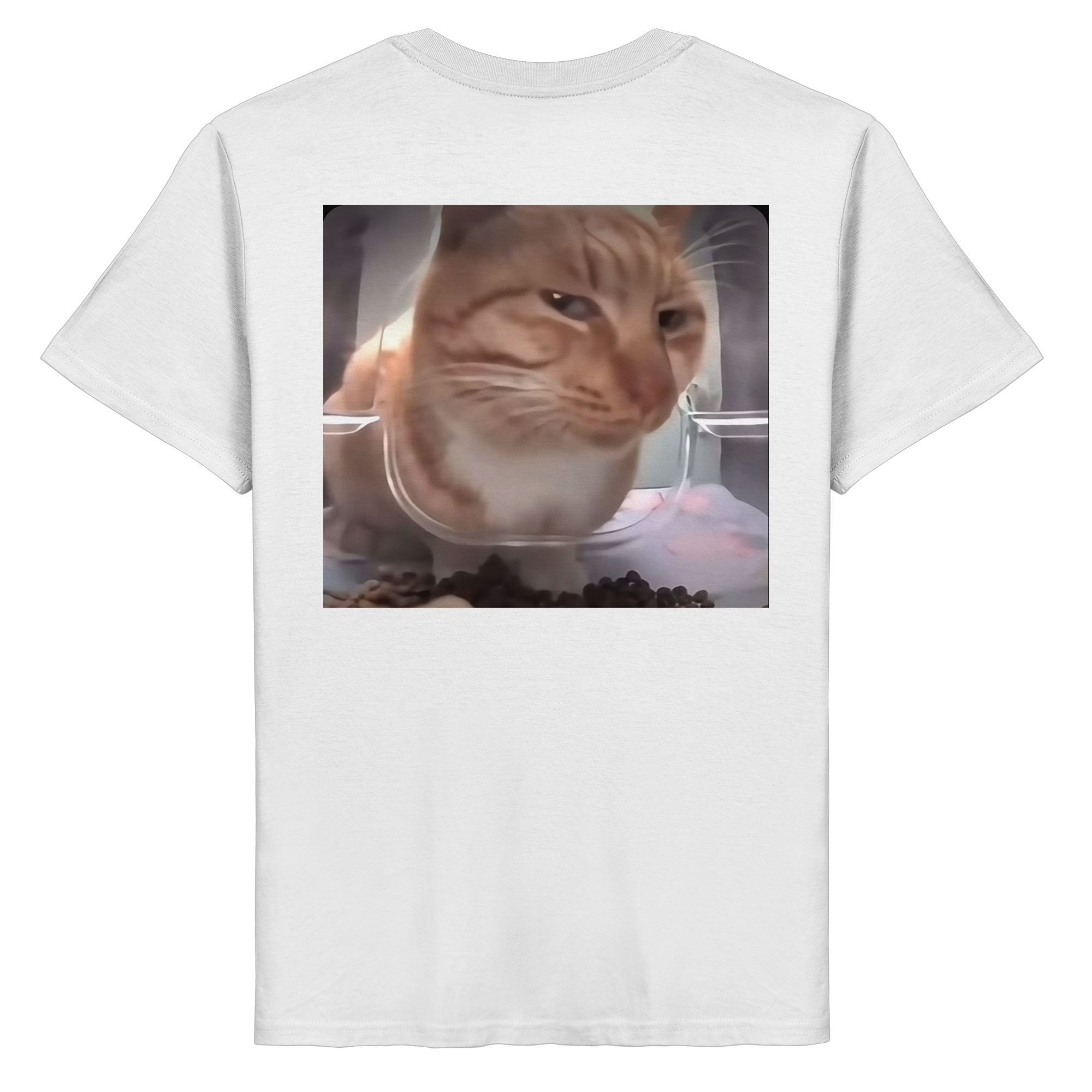 Suspicious cat meme  - Organic Basic Shirt
