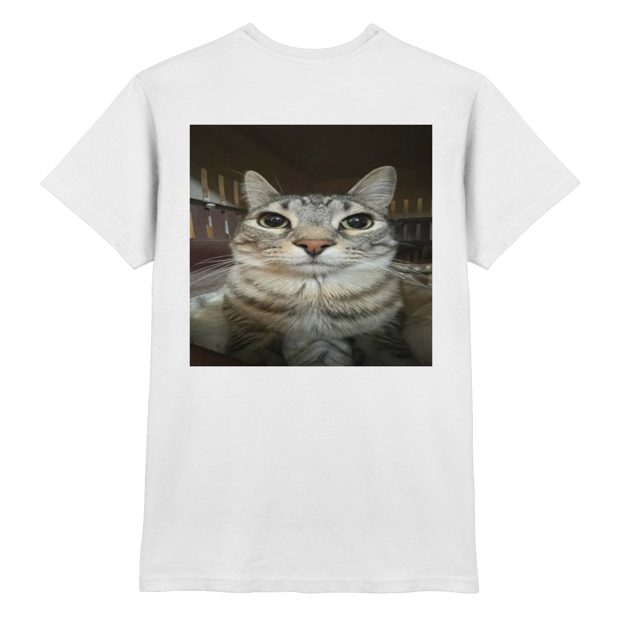 Staring cat meme  - Premium Shirt