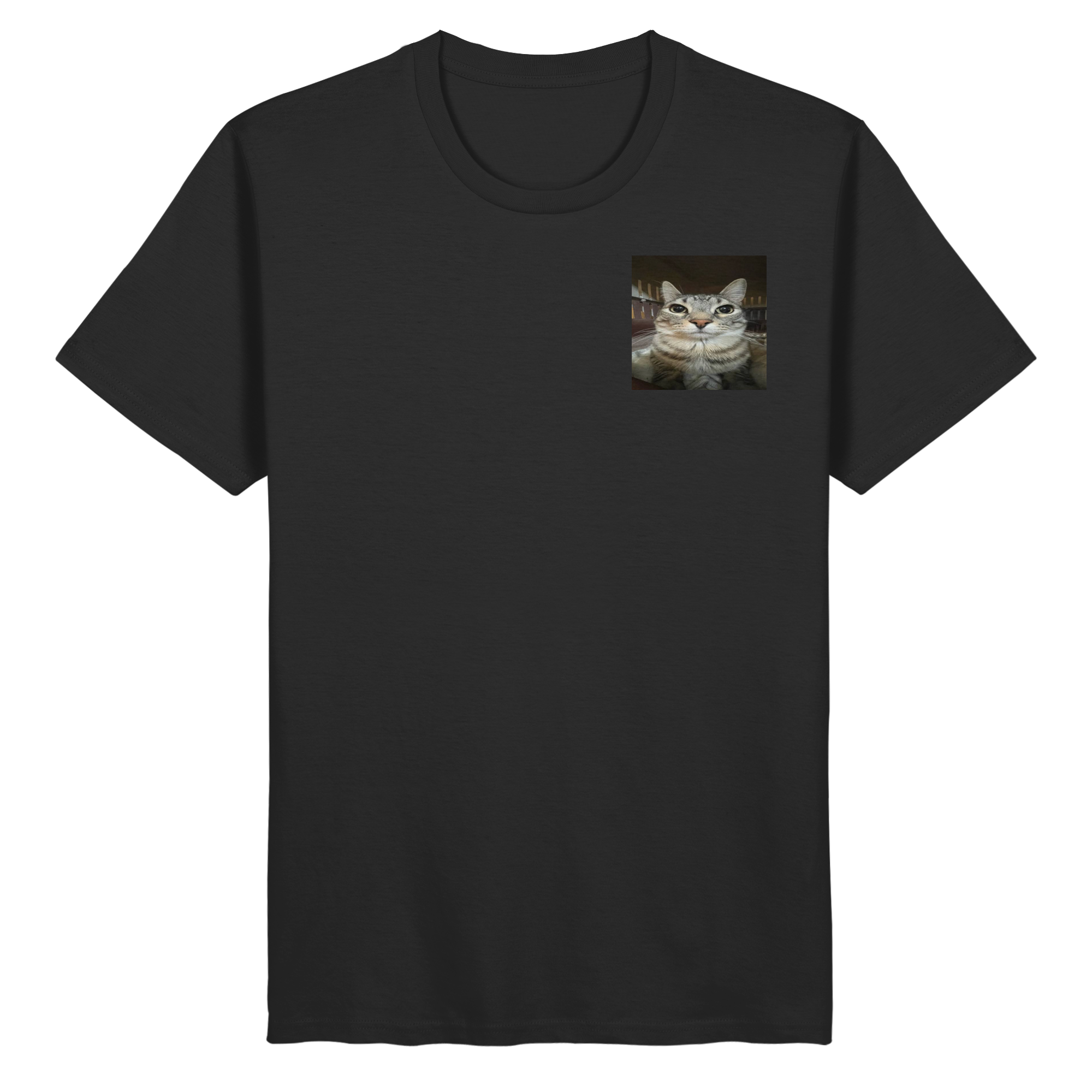 Staring cat meme  - Organic Basic Shirt