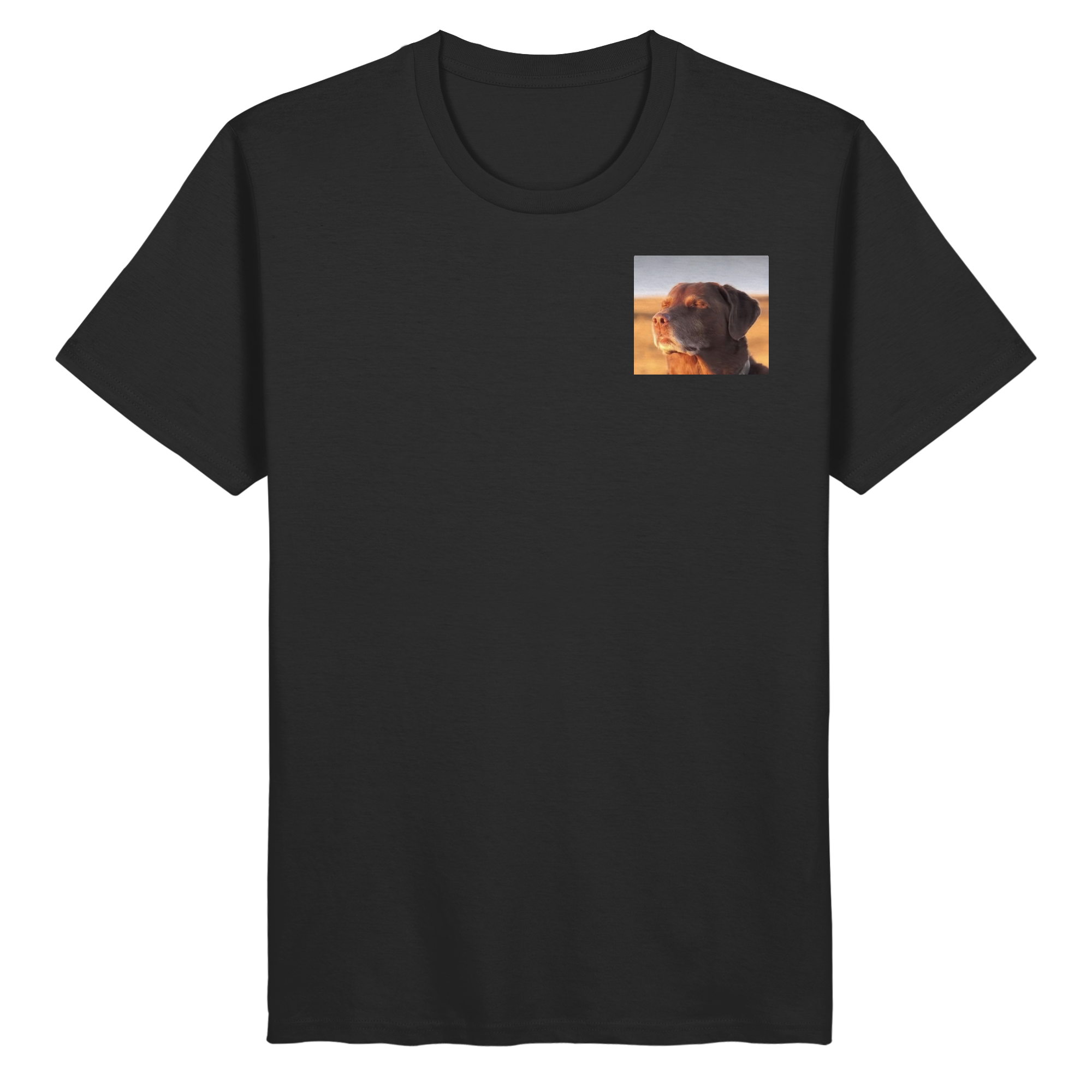 Dog with closed eyes meme - Organic Basic Shirt