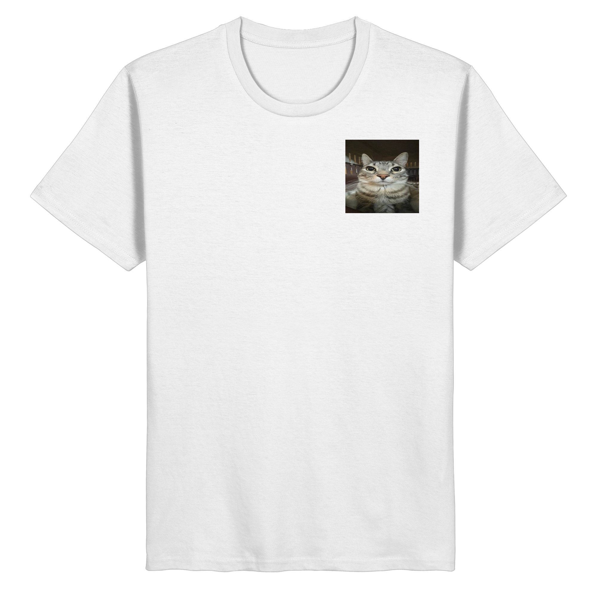Staring cat meme  - Organic Basic Shirt